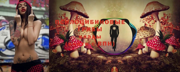 прущая мука Баксан