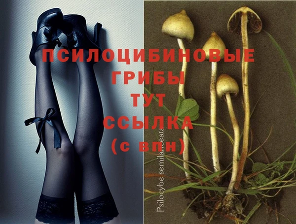 прущая мука Баксан