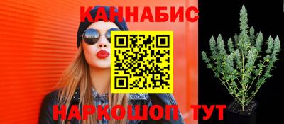 ГАЛЛЮЦИНОГЕННЫЕ ГРИБЫ Малоярославец