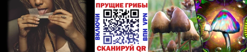 Псилоцибиновые грибы Psilocybine cubensis где купить наркоту Ульяновск